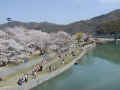 P1010275.JPG (53937 バイト)