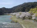 P1010276.JPG (59269 バイト)
